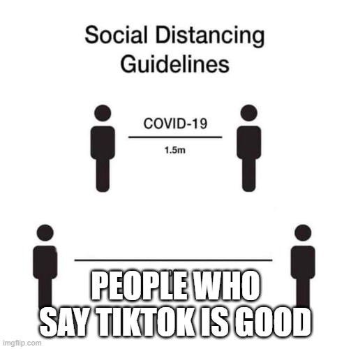 social distancing guidelines | PEOPLE WHO SAY TIKTOK IS GOOD | image tagged in social distancing guidelines | made w/ Imgflip meme maker