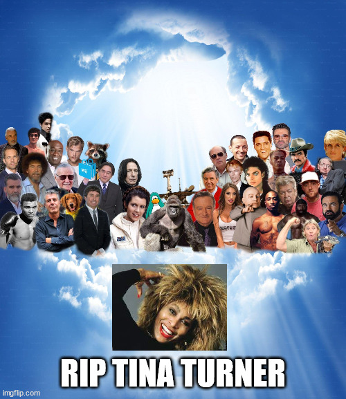 Meme Heaven | RIP TINA TURNER | image tagged in meme heaven | made w/ Imgflip meme maker