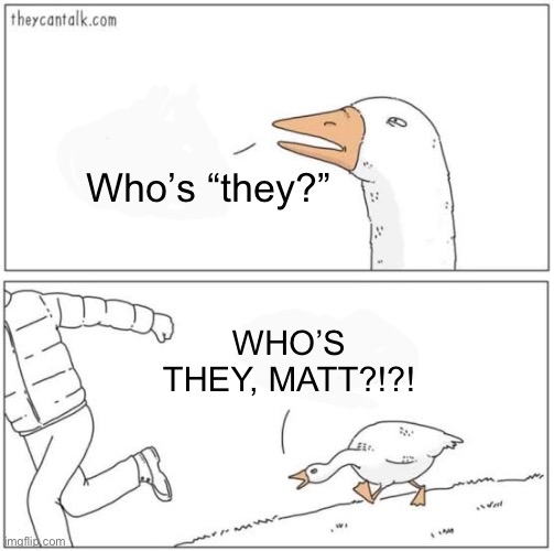 Angry goose | Who’s “they?”; WHO’S THEY, MATT?!?! | image tagged in angry goose | made w/ Imgflip meme maker