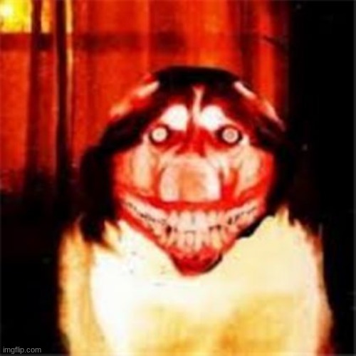sleep now lol | image tagged in smile dog,troll,smile,cursed | made w/ Imgflip meme maker