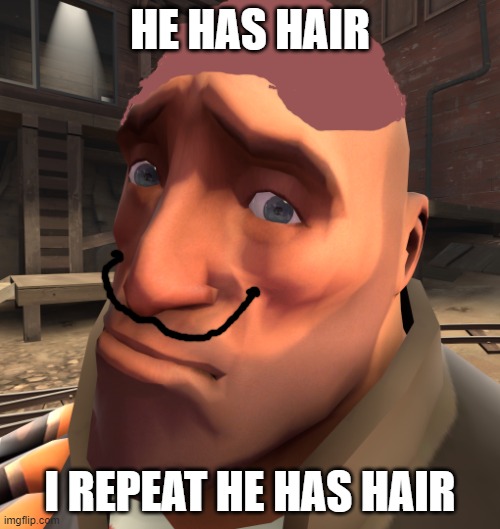 no anime? | HE HAS HAIR; I REPEAT HE HAS HAIR | image tagged in no anime | made w/ Imgflip meme maker