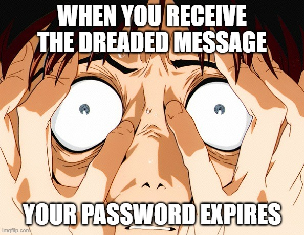 Password expires | WHEN YOU RECEIVE THE DREADED MESSAGE; YOUR PASSWORD EXPIRES | image tagged in despair | made w/ Imgflip meme maker