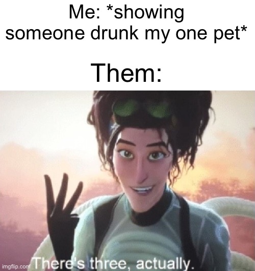Lol started seing things | Me: *showing someone drunk my one pet*; Them: | image tagged in there's three actually,funny,memes,drunk | made w/ Imgflip meme maker