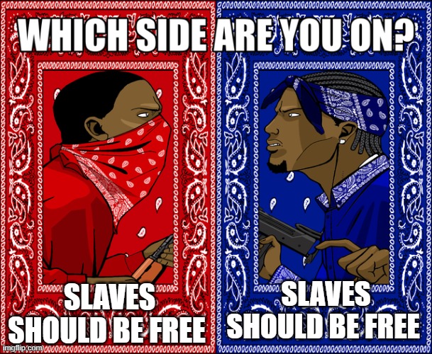 WHICH SIDE ARE YOU ON? | SLAVES SHOULD BE FREE; SLAVES SHOULD BE FREE | image tagged in which side are you on | made w/ Imgflip meme maker