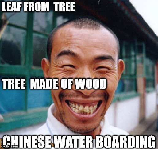 LEAF FROM  TREE TREE  MADE OF WOOD CHINESE WATER BOARDING | made w/ Imgflip meme maker