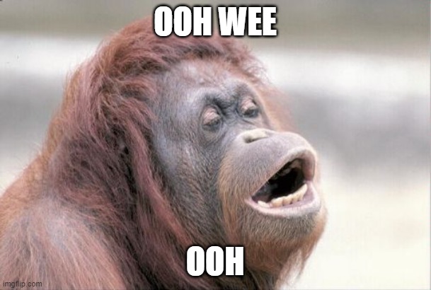 OOH WEE OOH | image tagged in memes,monkey ooh | made w/ Imgflip meme maker