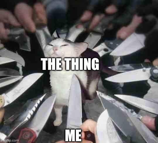 Knife Cat | THE THING ME | image tagged in knife cat | made w/ Imgflip meme maker