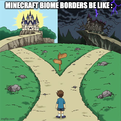 Two Paths | MINECRAFT BIOME BORDERS BE LIKE : | image tagged in two paths | made w/ Imgflip meme maker