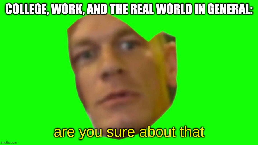 Are you sure about that? (Cena) | COLLEGE, WORK, AND THE REAL WORLD IN GENERAL: are you sure about that | image tagged in are you sure about that cena | made w/ Imgflip meme maker