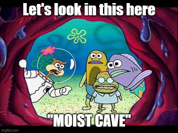 Actual Spongebob quote. | Let's look in this here; "MOIST CAVE" | image tagged in spongebob,sandy cheeks,funny | made w/ Imgflip meme maker