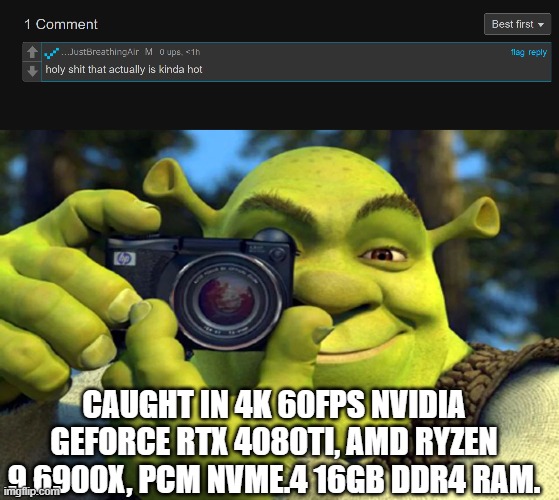 link in comments bro | CAUGHT IN 4K 60FPS NVIDIA GEFORCE RTX 4080TI, AMD RYZEN 9 6900X, PCM NVME.4 16GB DDR4 RAM. | image tagged in shrek caught in 4k | made w/ Imgflip meme maker