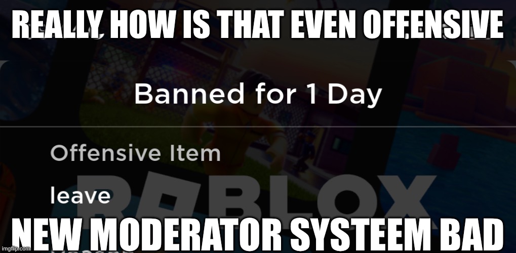 Why is this a offensive item bruh | REALLY HOW IS THAT EVEN OFFENSIVE; NEW MODERATOR SYSTEEM BAD | image tagged in banned from roblox | made w/ Imgflip meme maker
