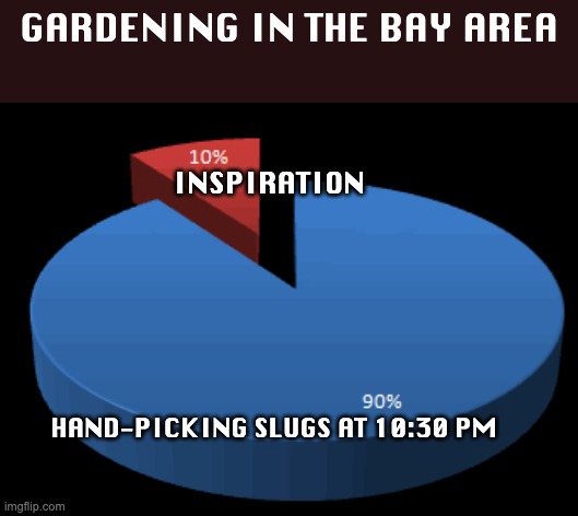 10 percent inspiration | GARDENING IN THE BAY AREA; INSPIRATION; HAND-PICKING SLUGS AT 10:30 PM | image tagged in 10 inspiration | made w/ Imgflip meme maker