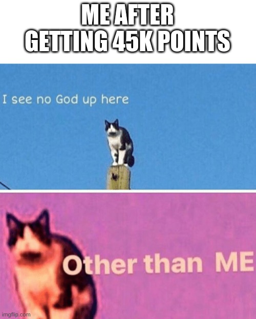 :))) | ME AFTER GETTING 45K POINTS | image tagged in hail pole cat | made w/ Imgflip meme maker