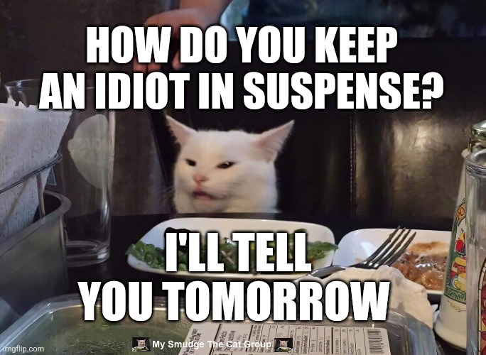 HOW DO YOU KEEP AN IDIOT IN SUSPENSE? I'LL TELL YOU TOMORROW | image tagged in smudge the cat | made w/ Imgflip meme maker