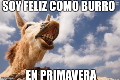 I'm happy like a donkey in spring !!! | SOY FELIZ COMO BURRO EN PRIMAVERA | image tagged in burro en primavera,funny | made w/ Imgflip meme maker