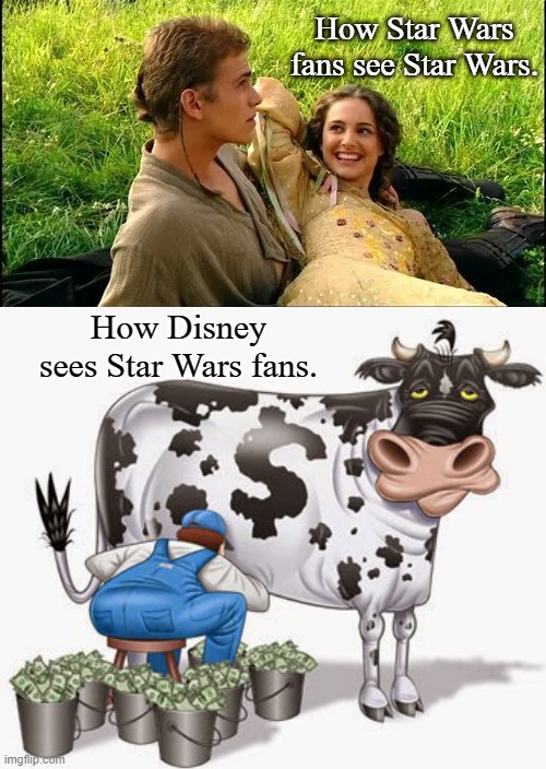 Fans vs Disney: Different Values are at play | How Star Wars fans see Star Wars. How Disney sees Star Wars fans. | image tagged in star wars,disney | made w/ Imgflip meme maker