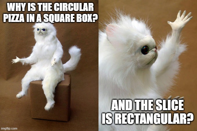 Persian Cat Room Guardian Meme | WHY IS THE CIRCULAR PIZZA IN A SQUARE BOX? AND THE SLICE IS RECTANGULAR? | image tagged in memes,persian cat room guardian | made w/ Imgflip meme maker