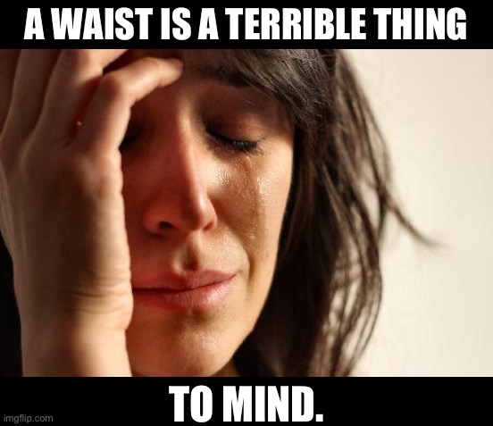 Waist | A WAIST IS A TERRIBLE THING; TO MIND. | image tagged in memes,first world problems | made w/ Imgflip meme maker