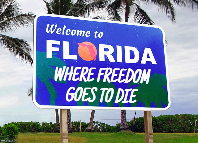 brain cells too... | WHERE FREEDOM
GOES TO DIE | image tagged in welcome to imgflip,florida man,freedom,death | made w/ Imgflip meme maker