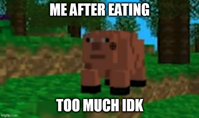 cool pig | ME AFTER EATING; TOO MUCH IDK | image tagged in pig,new template,mine clone 3d | made w/ Imgflip meme maker