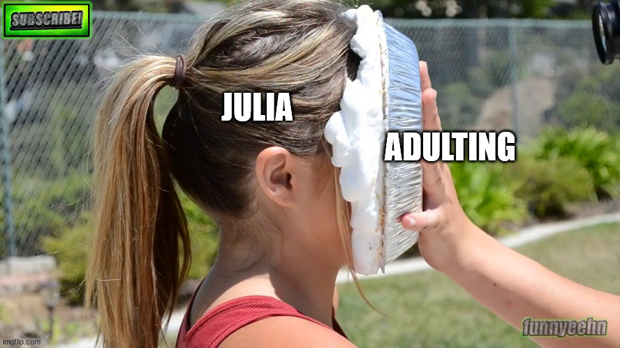 pied | ADULTING; JULIA | image tagged in pie | made w/ Imgflip meme maker