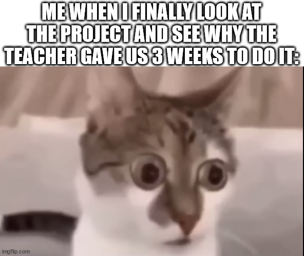ME WHEN I FINALLY LOOK AT THE PROJECT AND SEE WHY THE TEACHER GAVE US 3 WEEKS TO DO IT: | image tagged in memes | made w/ Imgflip meme maker