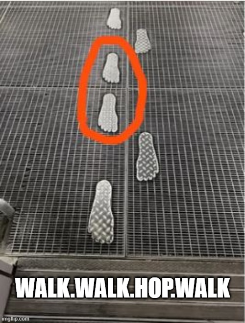 Footprints | WALK.WALK.HOP.WALK | image tagged in you had one job | made w/ Imgflip meme maker