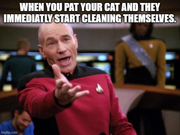 Patrick Stewart "why the hell..." | WHEN YOU PAT YOUR CAT AND THEY IMMEDIATLY START CLEANING THEMSELVES. | image tagged in patrick stewart why the hell | made w/ Imgflip meme maker