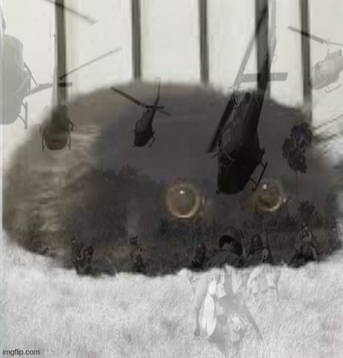 PTSD cat | image tagged in ptsd cat | made w/ Imgflip meme maker