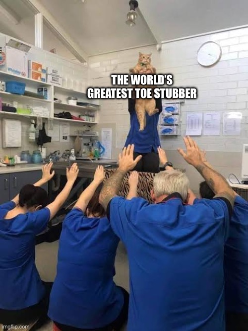 People Worshipping The Cat | THE WORLD’S GREATEST TOE STUBBED | image tagged in people worshipping the cat | made w/ Imgflip meme maker