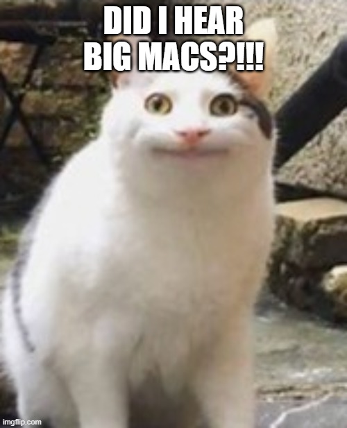 Beluga cat sus | DID I HEAR BIG MACS?!!! | image tagged in beluga cat sus | made w/ Imgflip meme maker