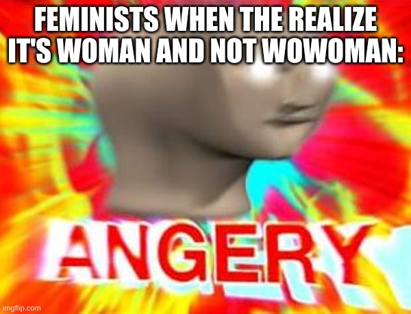 Surreal Angery | FEMINISTS WHEN THE REALIZE IT'S WOMAN AND NOT WOWOMAN: | image tagged in surreal angery | made w/ Imgflip meme maker