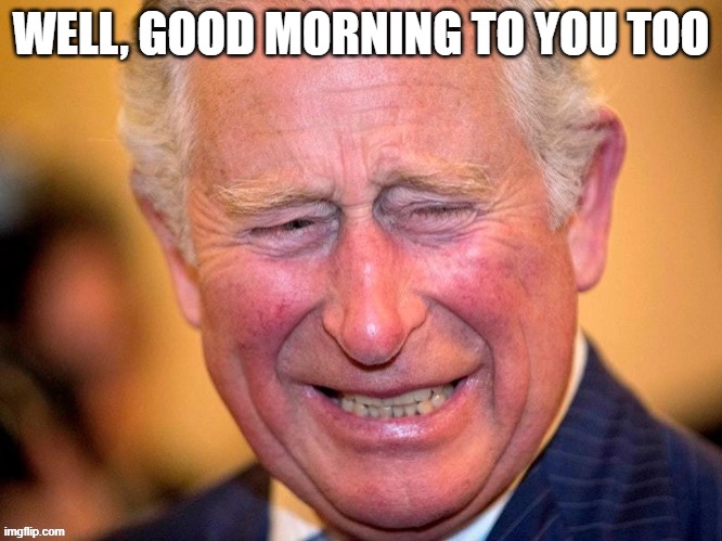WELL, GOOD MORNING TO YOU TOO | WELL, GOOD MORNING TO YOU TOO | image tagged in king charles | made w/ Imgflip meme maker