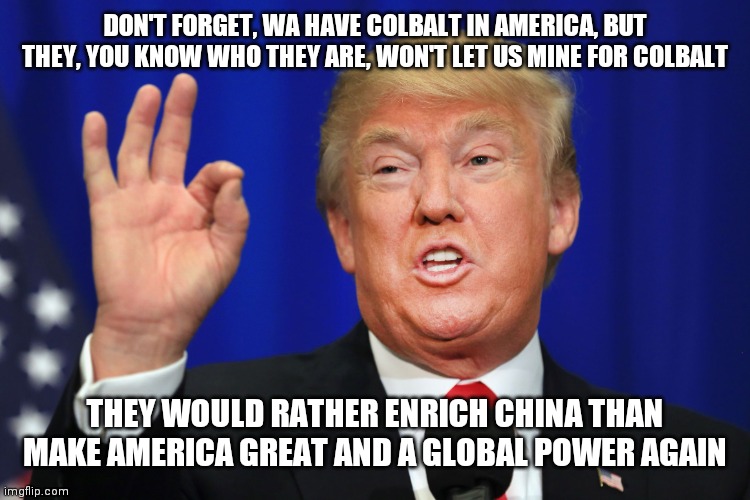 The Best Trump | DON'T FORGET, WA HAVE COLBALT IN AMERICA, BUT THEY, YOU KNOW WHO THEY ARE, WON'T LET US MINE FOR COLBALT THEY WOULD RATHER ENRICH CHINA THAN | image tagged in the best trump | made w/ Imgflip meme maker