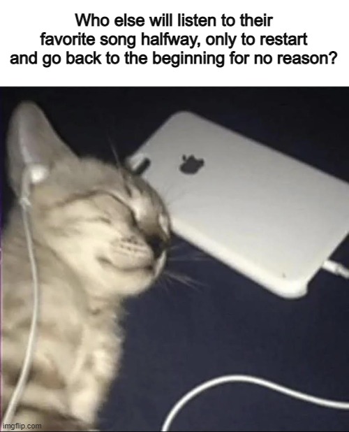 Why do we do this... | Who else will listen to their favorite song halfway, only to restart and go back to the beginning for no reason? | image tagged in cat listening to music | made w/ Imgflip meme maker
