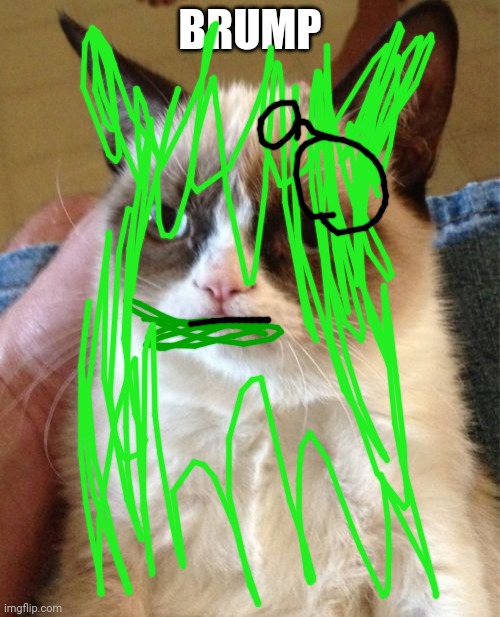 Brumpy cat | BRUMP | image tagged in memes,grumpy cat | made w/ Imgflip meme maker
