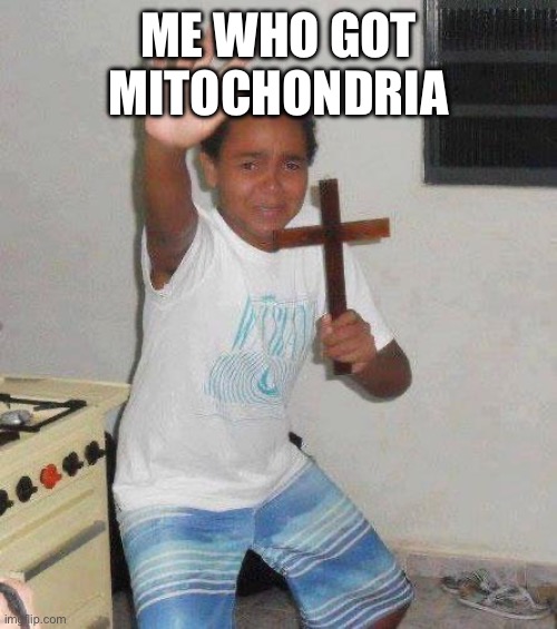 kid with cross | ME WHO GOT MITOCHONDRIA | image tagged in kid with cross | made w/ Imgflip meme maker