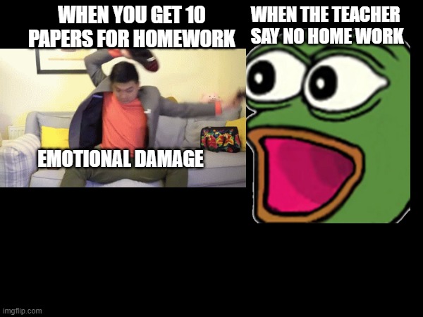 I HATE SCHOOL | WHEN YOU GET 10 PAPERS FOR HOMEWORK; WHEN THE TEACHER SAY NO HOME WORK; EMOTIONAL DAMAGE | image tagged in funny | made w/ Imgflip meme maker