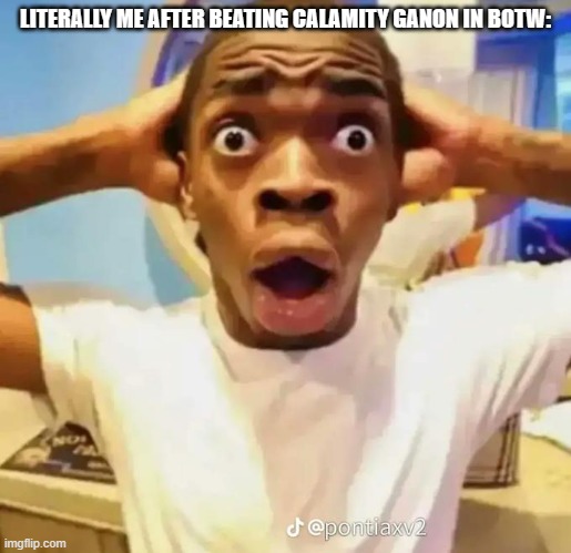 Shocked black guy | LITERALLY ME AFTER BEATING CALAMITY GANON IN BOTW: | image tagged in shocked black guy | made w/ Imgflip meme maker