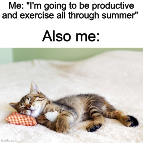 I hope I don't do this while summer's around :[] | Me: "I'm going to be productive and exercise all through summer"; Also me: | image tagged in sleeping cat | made w/ Imgflip meme maker
