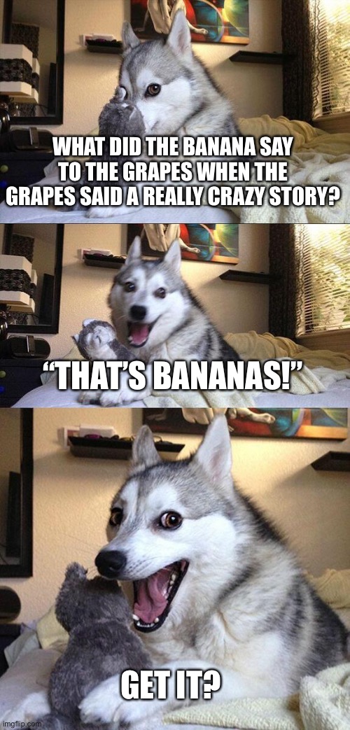 read tags | WHAT DID THE BANANA SAY TO THE GRAPES WHEN THE GRAPES SAID A REALLY CRAZY STORY? “THAT’S BANANAS!”; GET IT? | image tagged in memes,bad pun dog,e,i hated making this | made w/ Imgflip meme maker