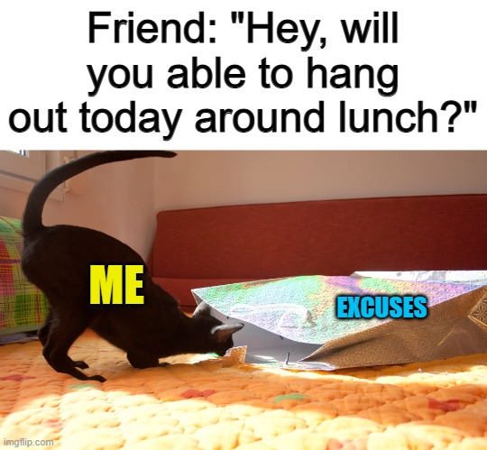 I try not to do this, but I will sometimes :/ | Friend: "Hey, will you able to hang out today around lunch?"; ME; EXCUSES | image tagged in cats | made w/ Imgflip meme maker