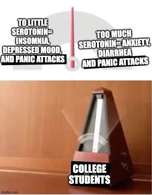 thing that goes back and forth on two choices | TO LITTLE SEROTONIN= 
INSOMNIA, DEPRESSED MOOD, 
AND PANIC ATTACKS; TOO MUCH SEROTONIN= ANXIETY, DIARRHEA AND PANIC ATTACKS; COLLEGE STUDENTS | image tagged in thing that goes back and forth on two choices | made w/ Imgflip meme maker