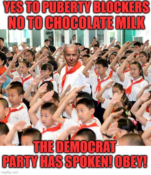 yep | YES TO PUBERTY BLOCKERS; NO TO CHOCOLATE MILK; THE DEMOCRAT PARTY HAS SPOKEN! OBEY! | image tagged in conformity | made w/ Imgflip meme maker