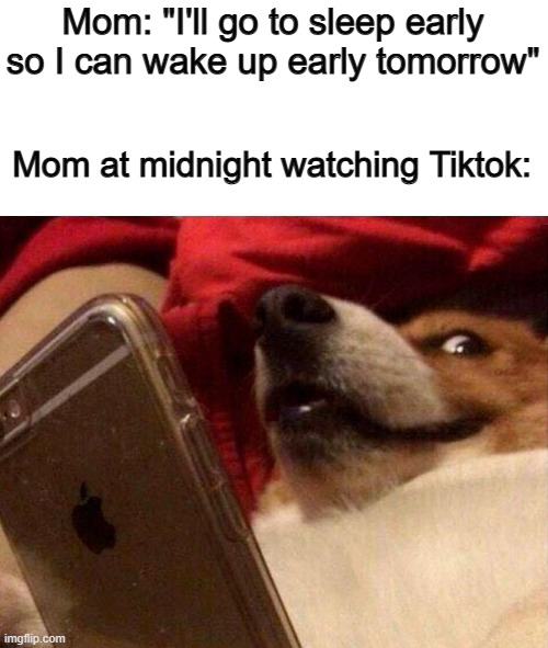 I would probably be on be phone as well :] | Mom: "I'll go to sleep early so I can wake up early tomorrow"; Mom at midnight watching Tiktok: | image tagged in dog phone | made w/ Imgflip meme maker