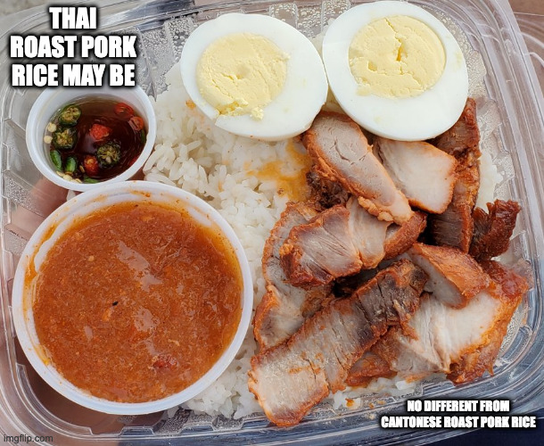 Thai Roast Pork Rice | THAI ROAST PORK RICE MAY BE; NO DIFFERENT FROM CANTONESE ROAST PORK RICE | image tagged in food,memes | made w/ Imgflip meme maker