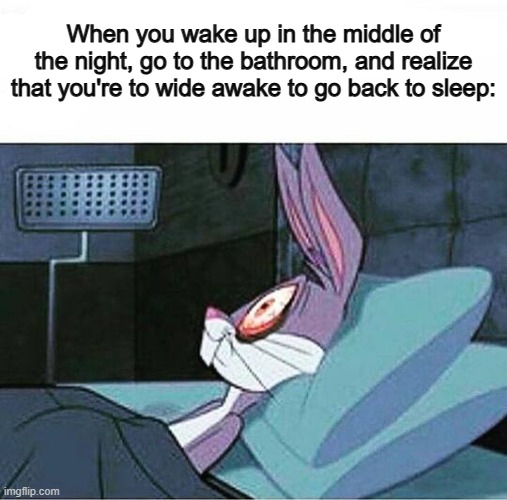 I hate when this happens DX | When you wake up in the middle of the night, go to the bathroom, and realize that you're to wide awake to go back to sleep: | image tagged in cant sleep | made w/ Imgflip meme maker