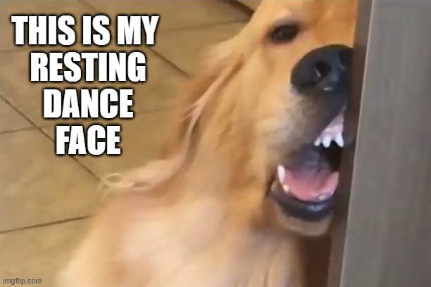 Resting Dance Face | THIS IS MY 
RESTING
DANCE
FACE | image tagged in dance,dancers | made w/ Imgflip meme maker
