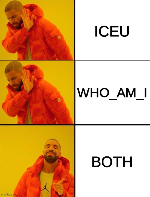 Drake meme 3 panels | ICEU WHO_AM_I BOTH | image tagged in drake meme 3 panels | made w/ Imgflip meme maker